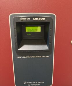 img 3520